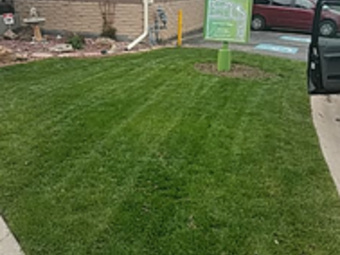 Order Lawn Care in Arvada, CO, 80233