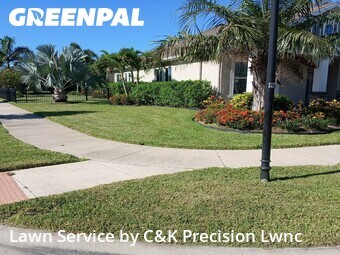 Lawn mowed in Apollo Beach, 33572