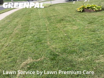 Lawn Mowing nearby La Vista, NE, 