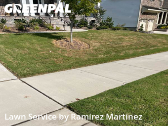 Lawn Cutting nearby Apex, NC, 