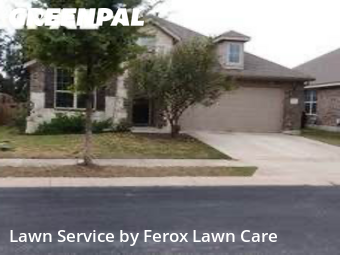 Yard Grooming in Georgetown, 78628, Lawn Management by Ferox Lawn Care, work completed in Nov , 2025