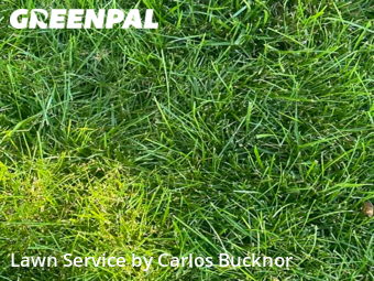 Lawn Mowing Service nearby Lee's Summit, MO, 