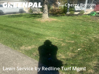 Yard Management in Columbus, 43230, Yard Care by Redline Turf Mgmt, work completed in Oct , 2025