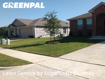 Yard Care in Princeton, 75407, Yard Upkeep by Edgar Ortiz Sanchez, work completed in Nov , 2025