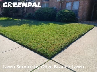 Yard Mowingin Haltom City,76137,Grass Cutting by Olive Branch Lawn, work completed in Jun , 2026
