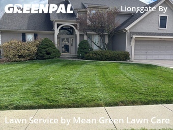 Landscaping Renovation In Overland Park,66223,Landscaping Cleanup by Mean Green Lawn Care, work completed in Apr , 2026