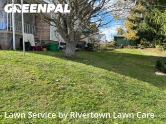 Yard Cutting nearby Beaver Falls, PA, 