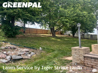 Lawn Mowing Service nearby Papillion, NE, 