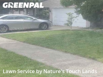 Grass Cut nearby Indianapolis, IN, 