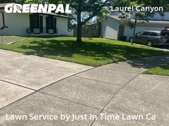 Yard Cutting nearby Columbus, OH, 