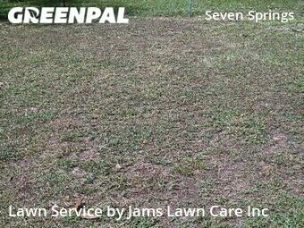 Lawn Cutting nearby New Port Richey, FL, 