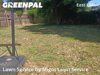 Lawn Mowing nearby Atlanta, GA, 
