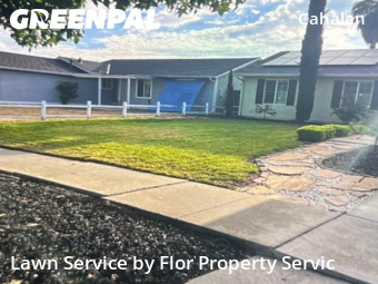 Grass Cut nearby San Jose, CA, 