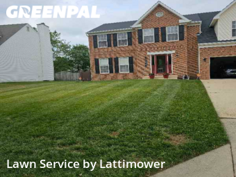 Lawn Mow nearby Clinton, DC, 