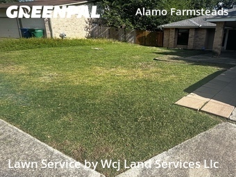 Lawn Care Service nearby San Antonio, TX, 