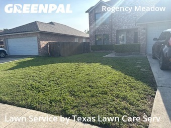 Grass Cutting nearby San Antonio, TX, 