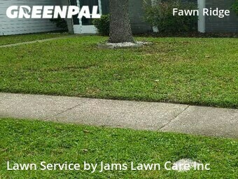 Lawn Care nearby Tampa, FL, 