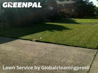 Lawn Mow nearby Dolton, IL, 