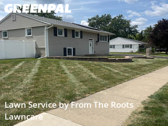 Lawn Cutting nearby Streamwood, IL, 