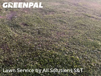 Lawn Care nearby Haines City, FL, 