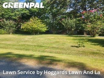 Lawn Cut nearby Jackson, TN, 