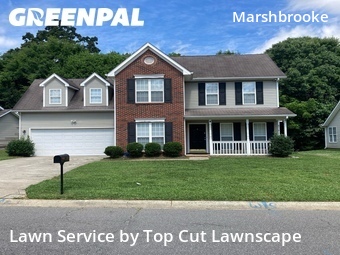 Lawn Mowin Matthews,28105,Lawn Mow by Top Cut Lawnscape, work completed in Jun , 2026
