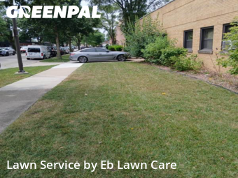 Lawn Maintenancein Skokie,60076,Yard Cutting by Eb Lawn Care , work completed in Nov , 2025