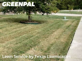 Lawn Cut nearby Wylie, TX, 