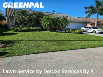 Lawn Care in Tamarac, 33321, Lawn Care by Deluxe Services By A, work completed in Nov , 2025