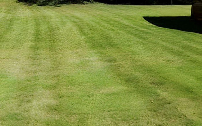 Work Image 2