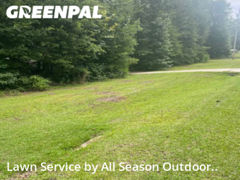 Lawn Cut nearby Opelika, AL, 