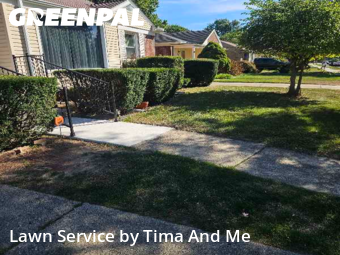 Property Maintenance in Allen Park, 48101, Grass Cutting by Tima And Me, work completed in Nov , 2025