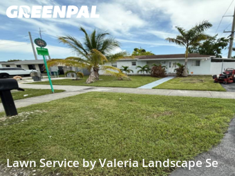 Grass Cut nearby Miami, FL, 