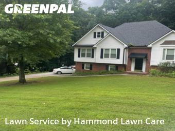 Weed Trimming in Cartersville, 30120, Yard Cutting by Hammond Lawn Care, work completed in Nov , 2025