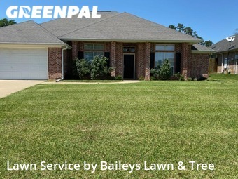 Yard Mowing nearby Flint, TX, 