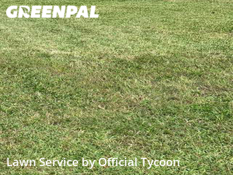 Lawn Care nearby Palm Coast, FL, 