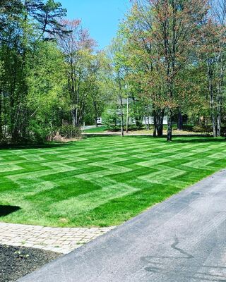 Local Lawn care service near me in Lakewood, WA, 98498