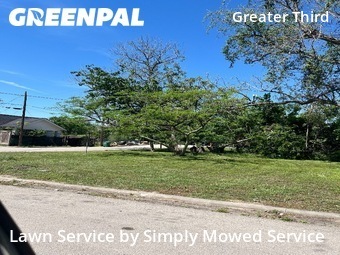 Lawn Cut nearby Houston, TX, 