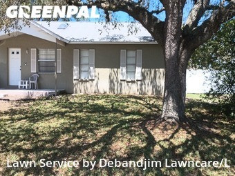 Grass Cut nearby Dunedin, FL, 