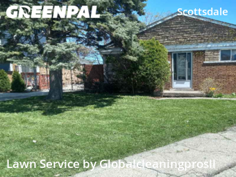 Yard Cutting nearby Chicago, IL, 