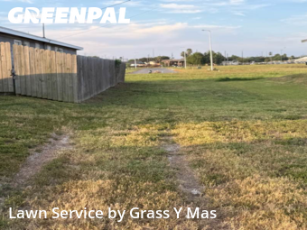 Lawn Care nearby Harlingen, TX, 