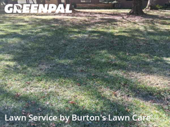 Yard Mowing nearby Youngstown, PA, 