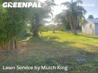 Grass Cut nearby North Fort Myers, FL, 
