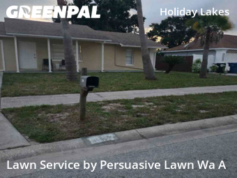 Lawn Care nearby Holiday, FL, 
