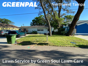 Lawn Care nearby Tampa, FL, 