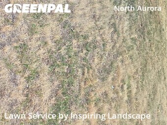 Affordable Landscaping Maintenance Services In Aurora,80010,Landscape Design by Inspiring Landscape, work completed in Jul , 2026