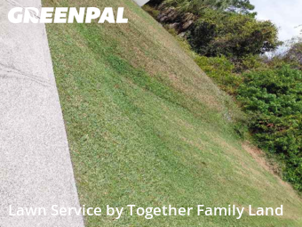 Turf Services in North Port, 34286, Yard Grooming by Together Family Land, work completed in Dec , 2025