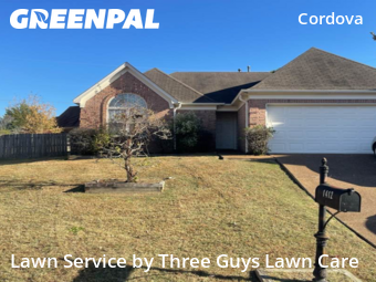 Lawn Mowing Service nearby Shelby County, TN, 