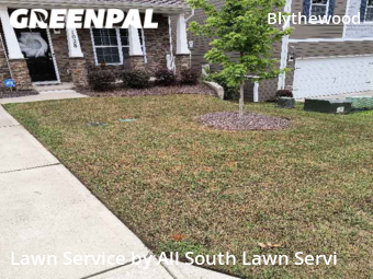 Lawn Service nearby Blythewood, SC, 