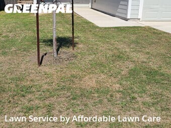 Yard Cutting nearby New Braunfels, TX, 